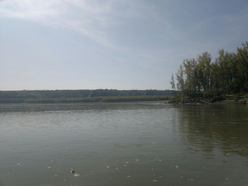 Прикрепленное изображение: IMG-20170824-WA0019.jpg