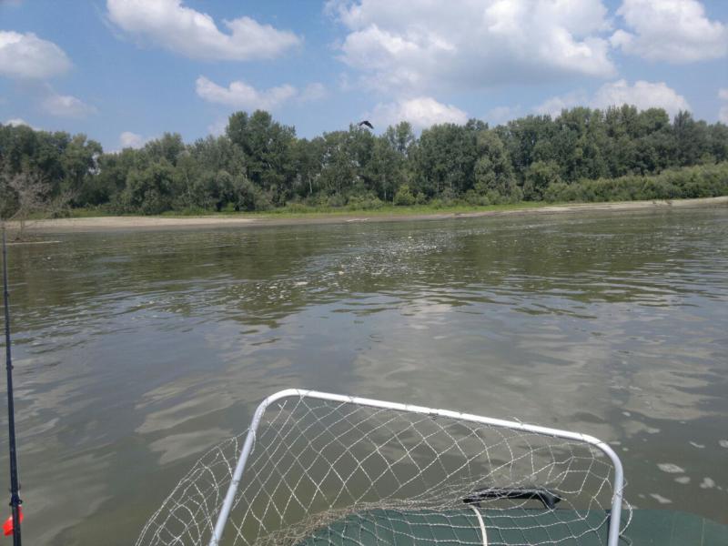 Прикрепленное изображение: IMG-20170804-WA0015.jpg