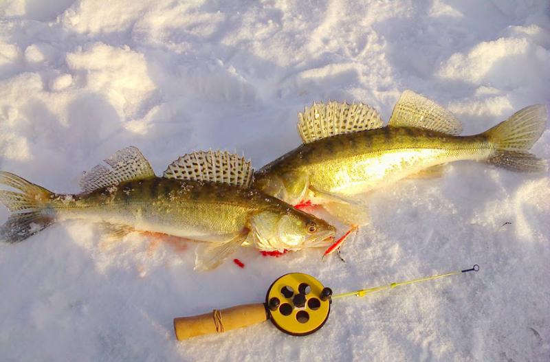 Прикрепленное изображение: Фото0292.jpg