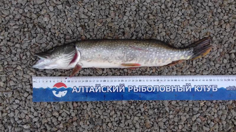 Прикрепленное изображение: 20170902_124816.jpg