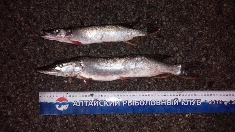 Прикрепленное изображение: 20170902_220925.jpg