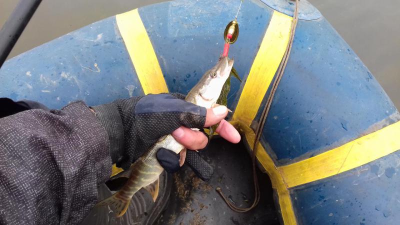 Прикрепленное изображение: 20170902_110307.jpg