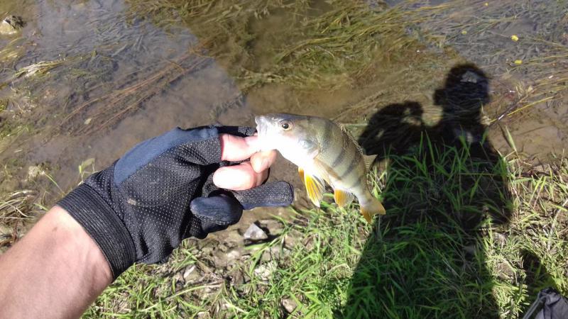 Прикрепленное изображение: 20170903_150004.jpg