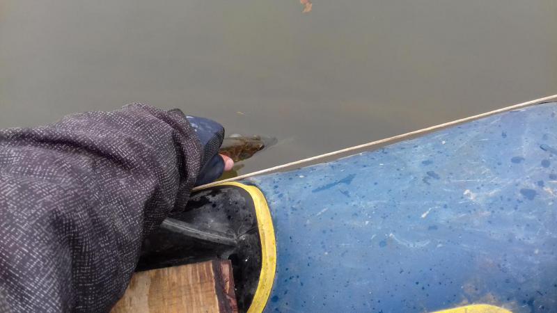 Прикрепленное изображение: 20170902_110327.jpg