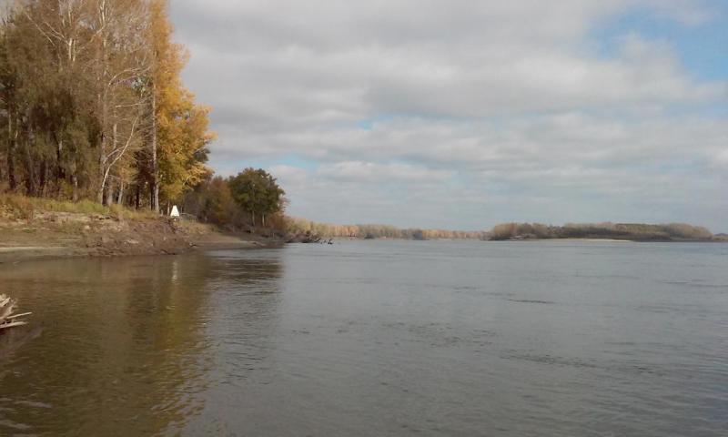 Прикрепленное изображение: 20161002_140413.jpg