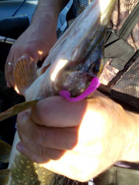 Прикрепленное изображение: IMG_20170528_085857.jpg