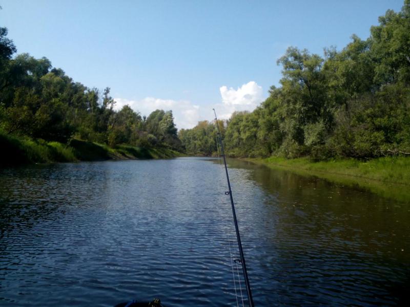 Прикрепленное изображение: чистая вода.jpg