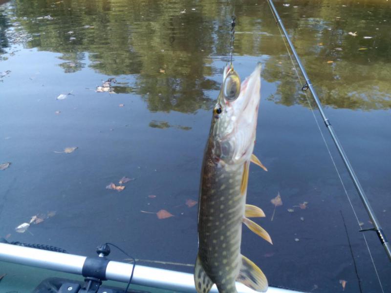 Прикрепленное изображение: мелоч.jpg