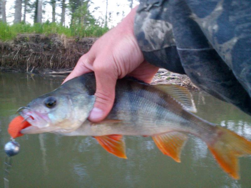 Прикрепленное изображение: IMG_20170617_050821.jpg