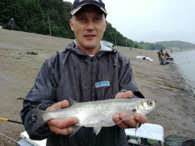 Прикрепленное изображение: IMG-20170826-WA00101.jpg