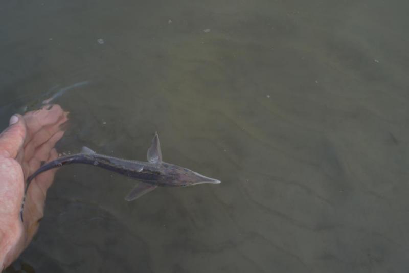 Прикрепленное изображение: DSC03934.JPG