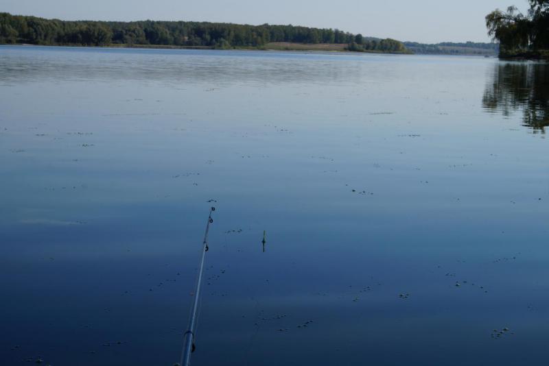 Прикрепленное изображение: DSC03112.JPG