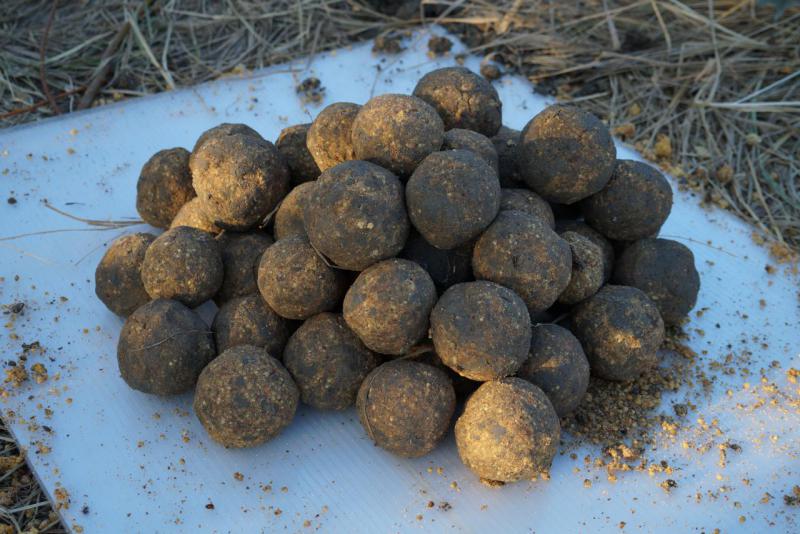 Прикрепленное изображение: DSC03901.JPG