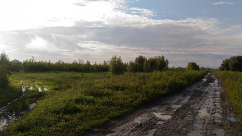 Прикрепленное изображение: P_20160723_075020.jpg