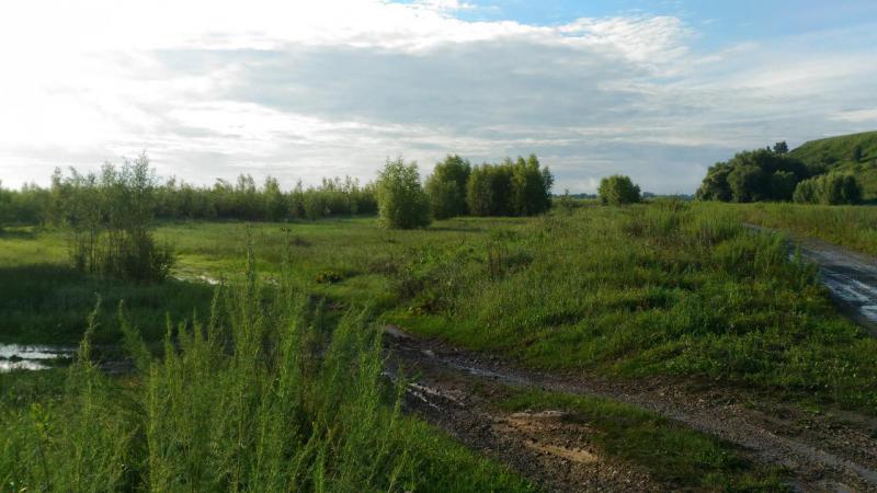 Прикрепленное изображение: P_20160723_074958.jpg