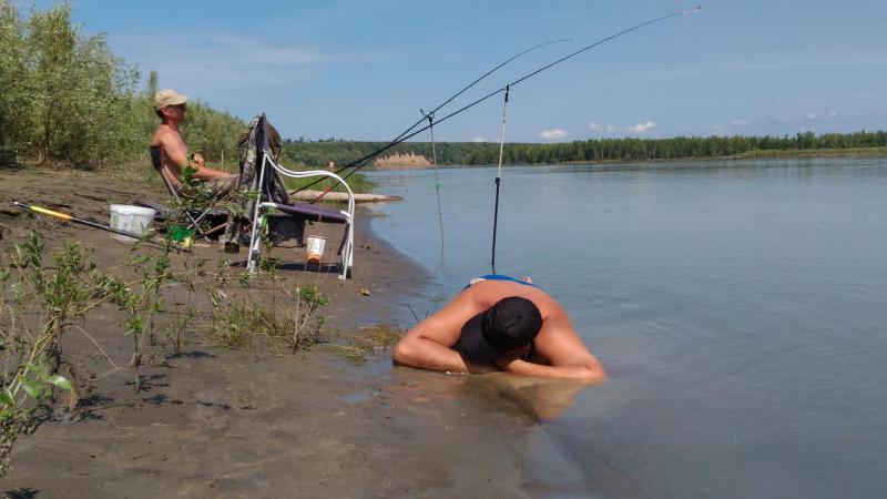 Прикрепленное изображение: P_20160723_121757.jpg