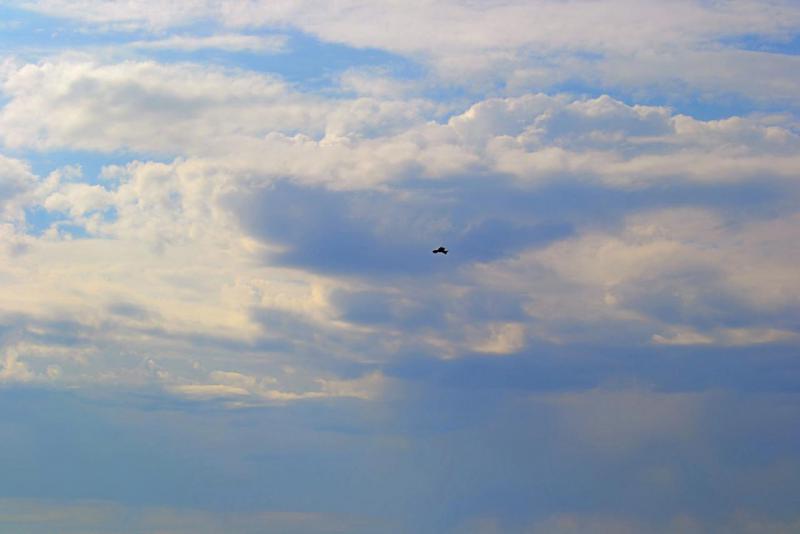 Прикрепленное изображение: DSC_0578 - с эффектами.JPG