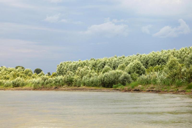 Прикрепленное изображение: 13.jpg