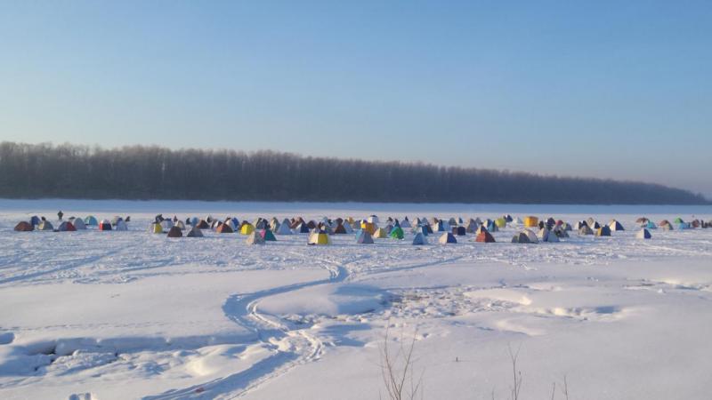 Прикрепленное изображение: 20160123_093316.jpg