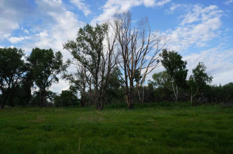 Прикрепленное изображение: DSC09829.JPG