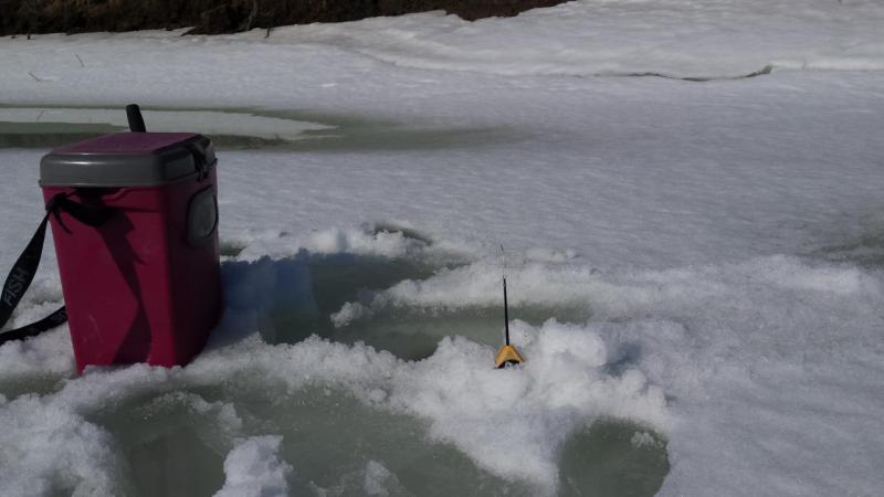 Прикрепленное изображение: 20160320_111204.jpg