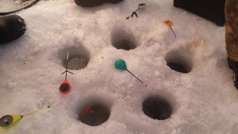 Прикрепленное изображение: 20160123_094716.jpg