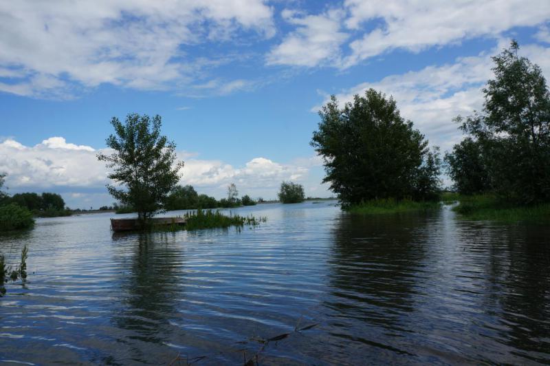 Прикрепленное изображение: DSC09922.JPG