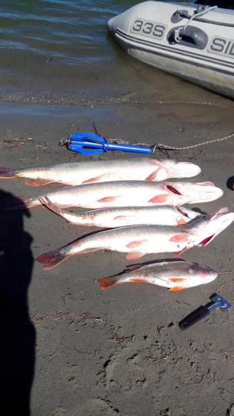 Прикрепленное изображение: IMG_20160903_141747.jpg