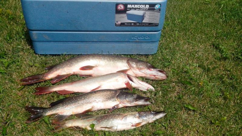 Прикрепленное изображение: IMG_20160703_131447.jpg