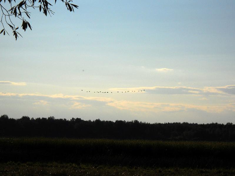 Прикрепленное изображение: о2.jpg