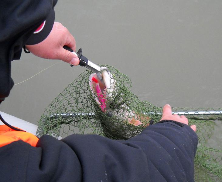 Прикрепленное изображение: сб.jpg