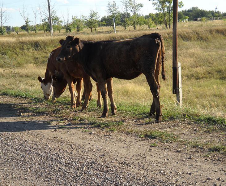 Прикрепленное изображение: о1.jpg