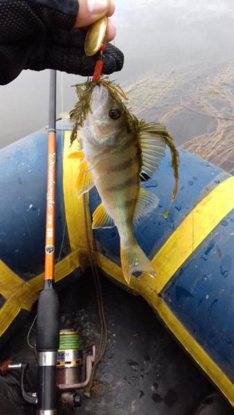 Прикрепленное изображение: З2.jpg