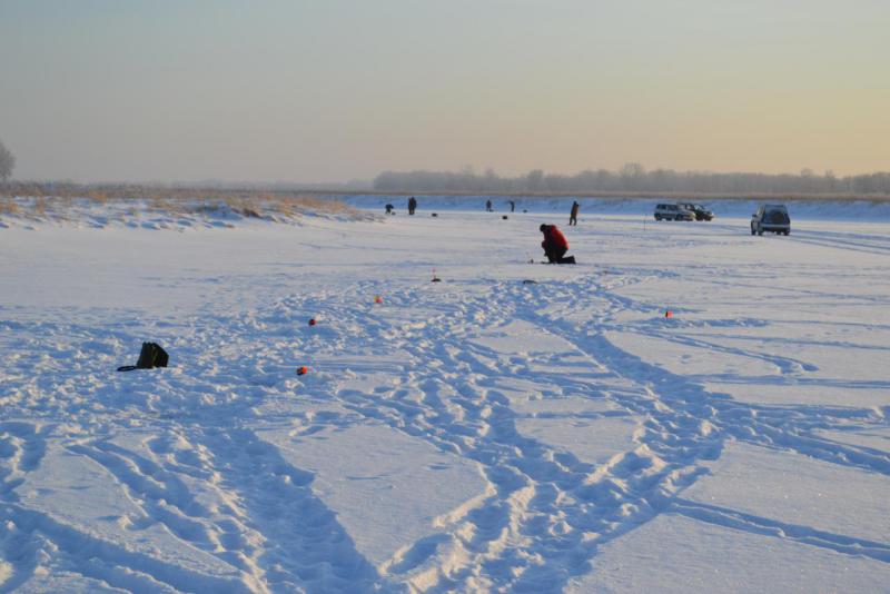 Прикрепленное изображение: DSC_0240.JPG