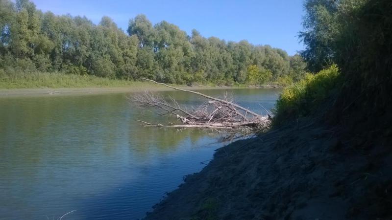 Прикрепленное изображение: WP_20150919_014.jpg