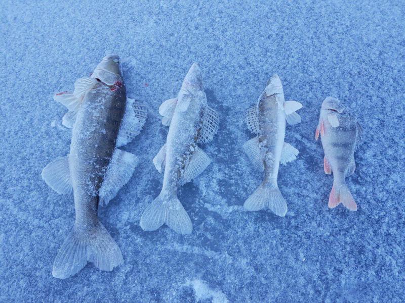 Прикрепленное изображение: Yuc_oPdCshA.jpg