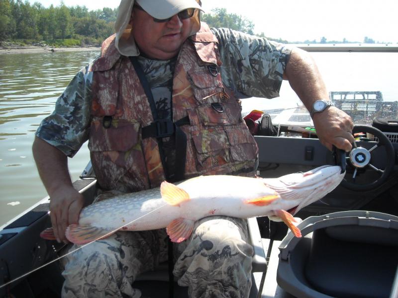 Прикрепленное изображение: DSCN0164.JPG