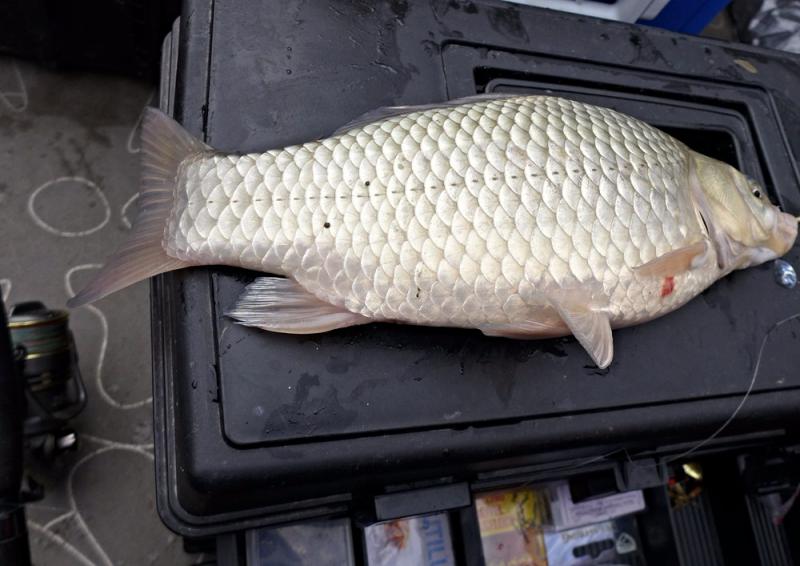 Прикрепленное изображение: 2.jpg