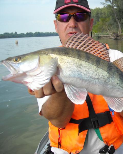 Прикрепленное изображение: DSCN0198.JPG