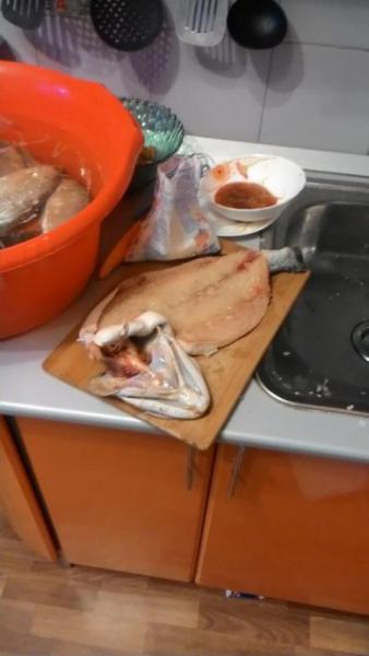 Прикрепленное изображение: 3.jpg