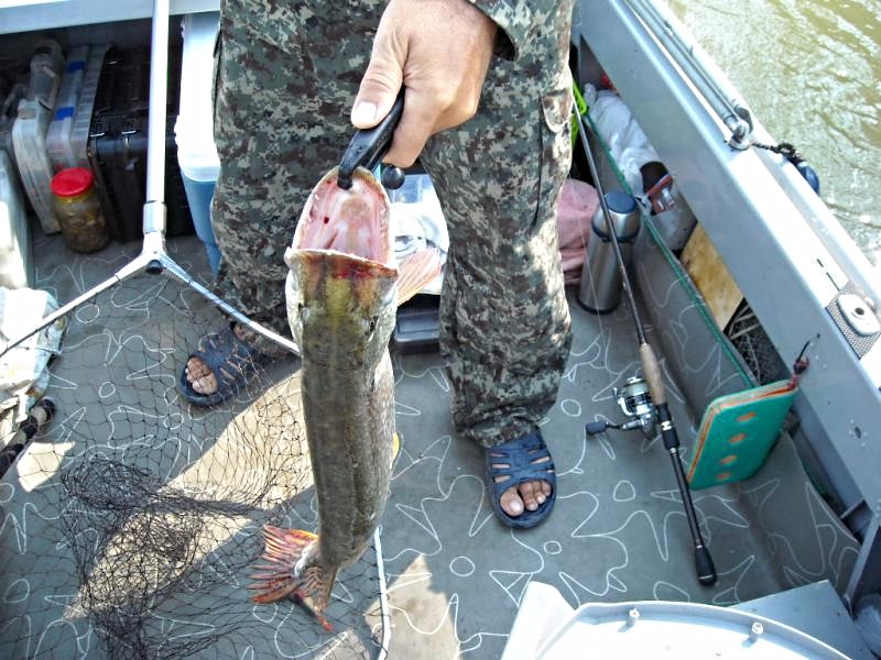 Прикрепленное изображение: 16 черн.jpg