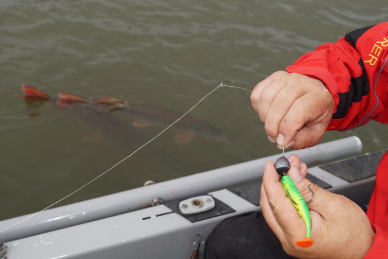 Прикрепленное изображение: DSC04308.JPG