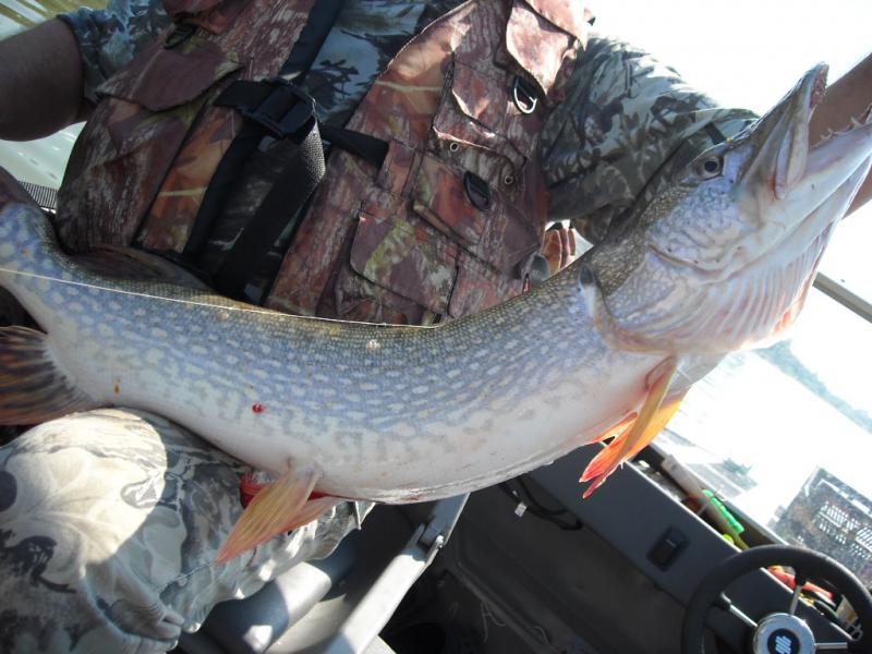 Прикрепленное изображение: DSCN0167.JPG