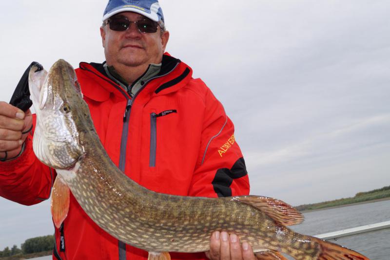 Прикрепленное изображение: DSC04300.JPG