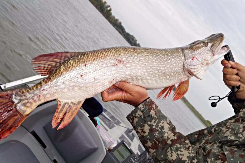 Прикрепленное изображение: 16 черн 2.jpg