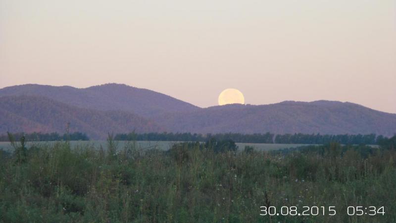 Прикрепленное изображение: 20150830_053440.jpg