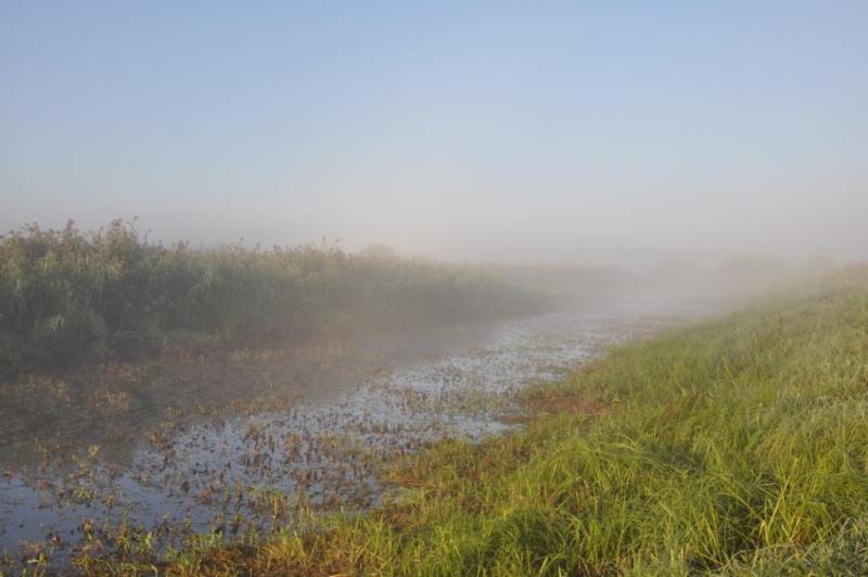 Прикрепленное изображение: DSC_3767.JPG