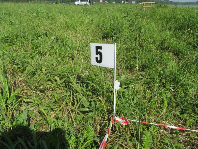 Прикрепленное изображение: 1_1.JPG