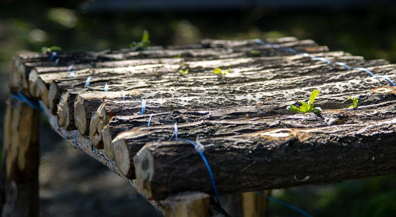 Прикрепленное изображение: DSC00763ААА.jpg