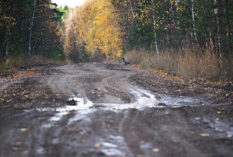 Прикрепленное изображение: DSC03519ААА.jpg